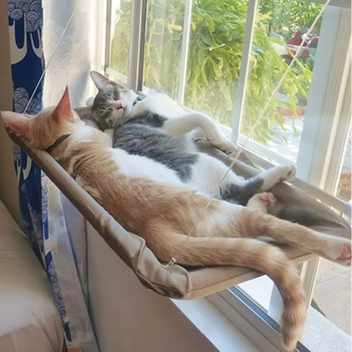 Hanging Cat Bed Pet Cat Window Shelf Net Cat Hammock Suction Cup Cat House Perches Cave Cat Nest Cat Supplies Cat Accessories
