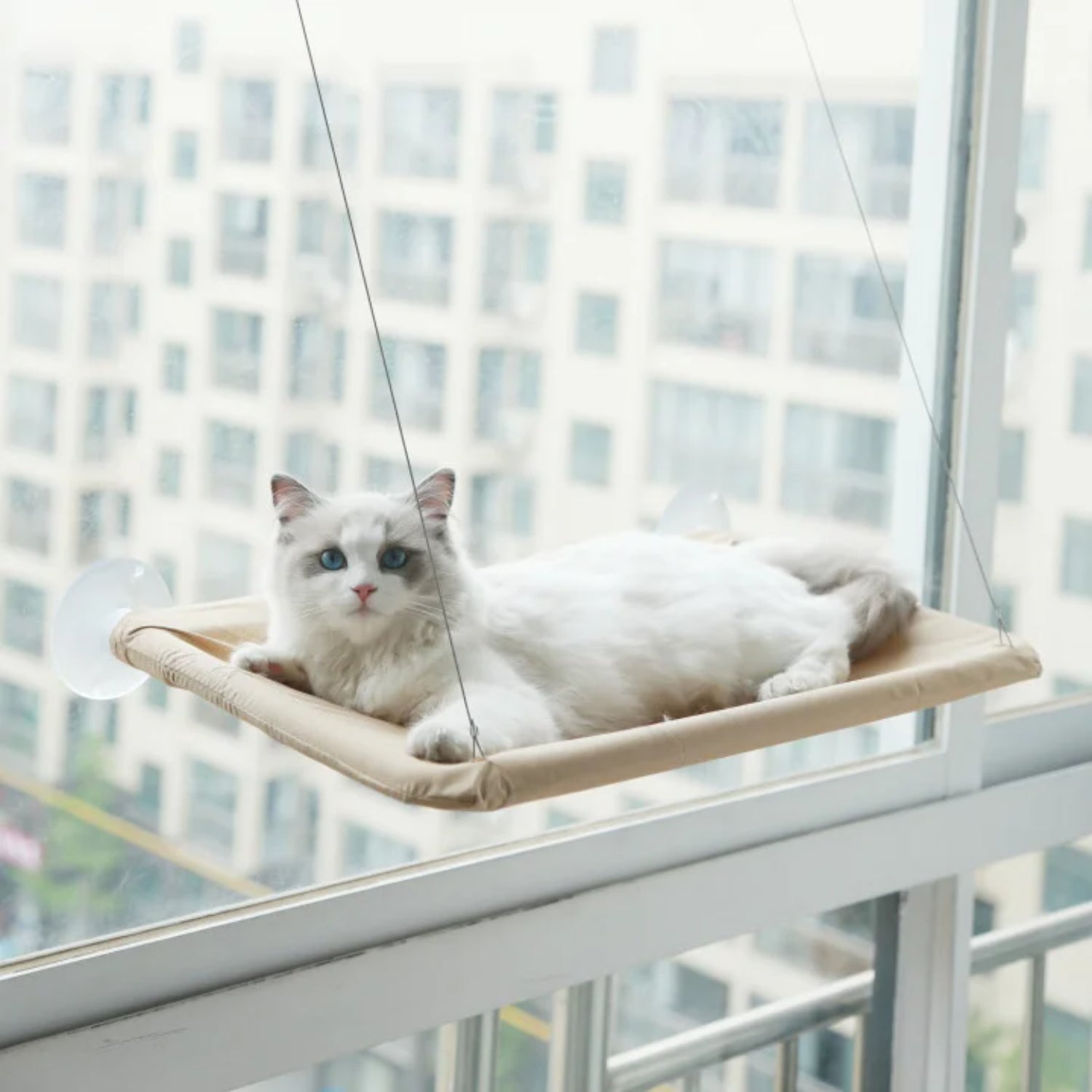 Hanging Cat Bed Pet Cat Window Shelf Net Cat Hammock Suction Cup Cat House Perches Cave Cat Nest Cat Supplies Cat Accessories