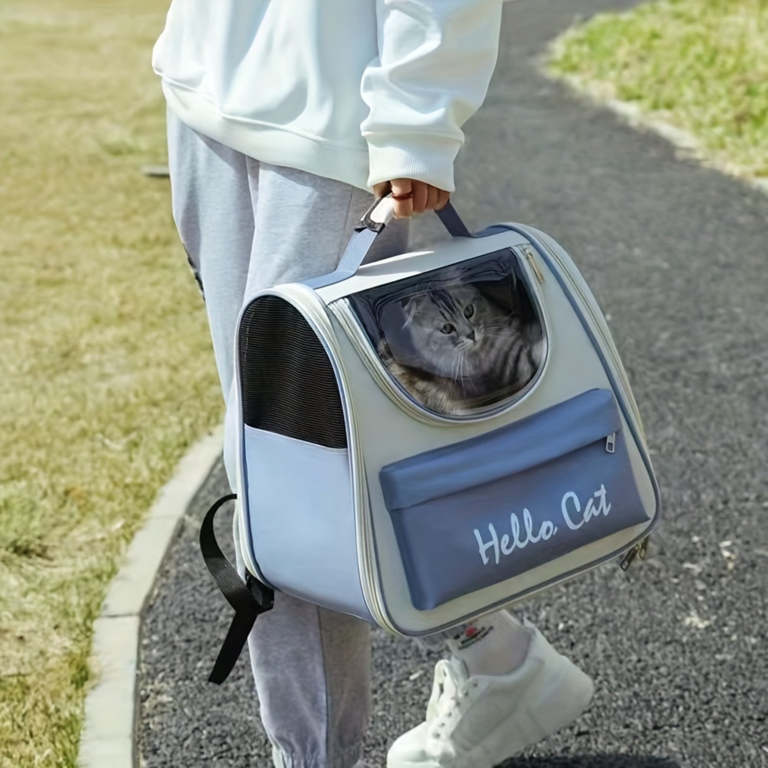 1Pc Cat Bag, Outing Portable Foldable Breathable Capsule Large Space Cat Bag