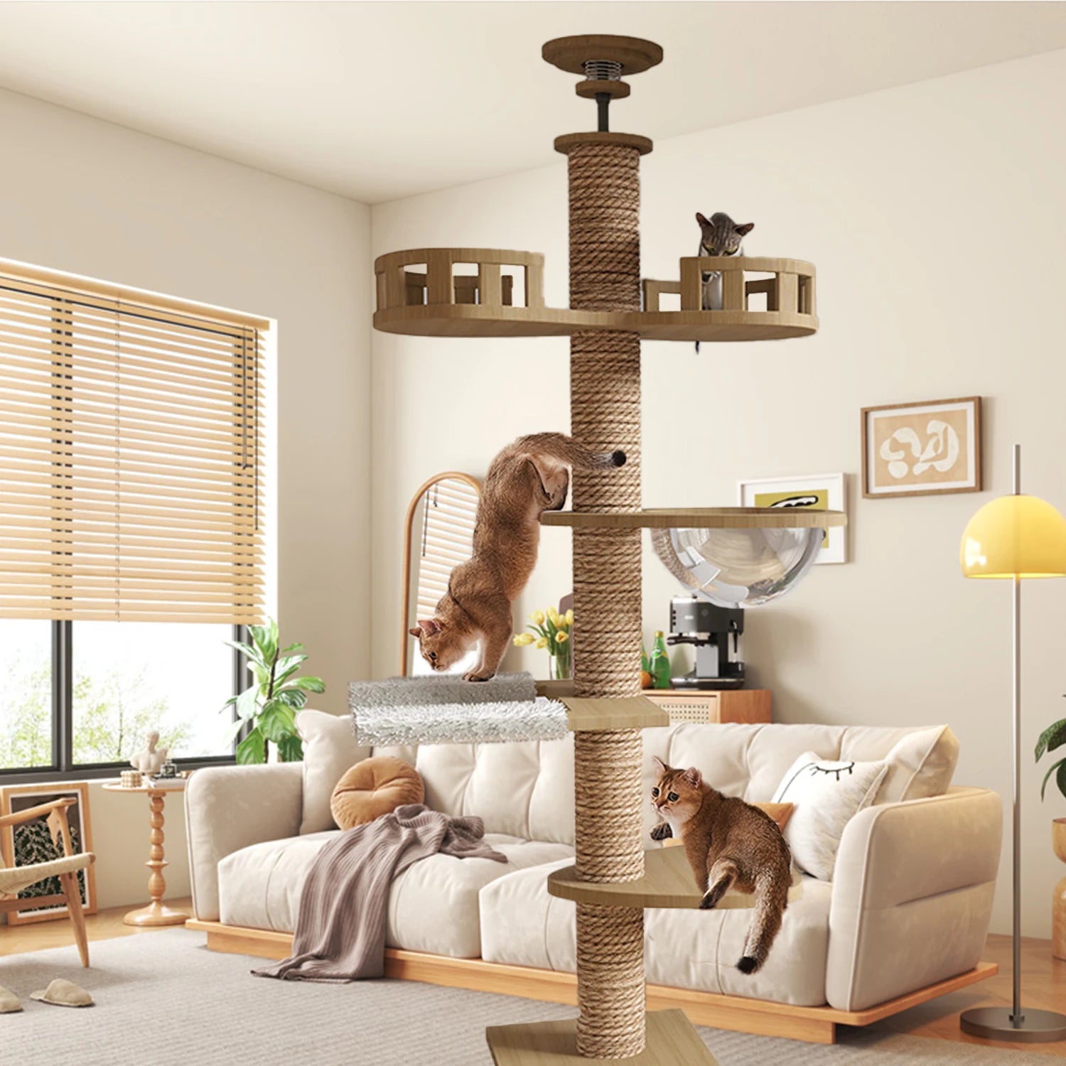 Cats get Floor Solid wood Cat Tree House Climbing Pets Furniture Kitten Trees multi-layer Cat Climbing Indoor boy