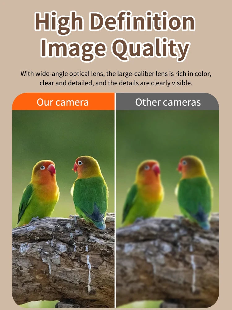 Solar-Powered Smart Bird Feeder with Camera, HD Live View & Instant Alerts, IP66 Weatherproof Design, Ideal Bird Watching Gift