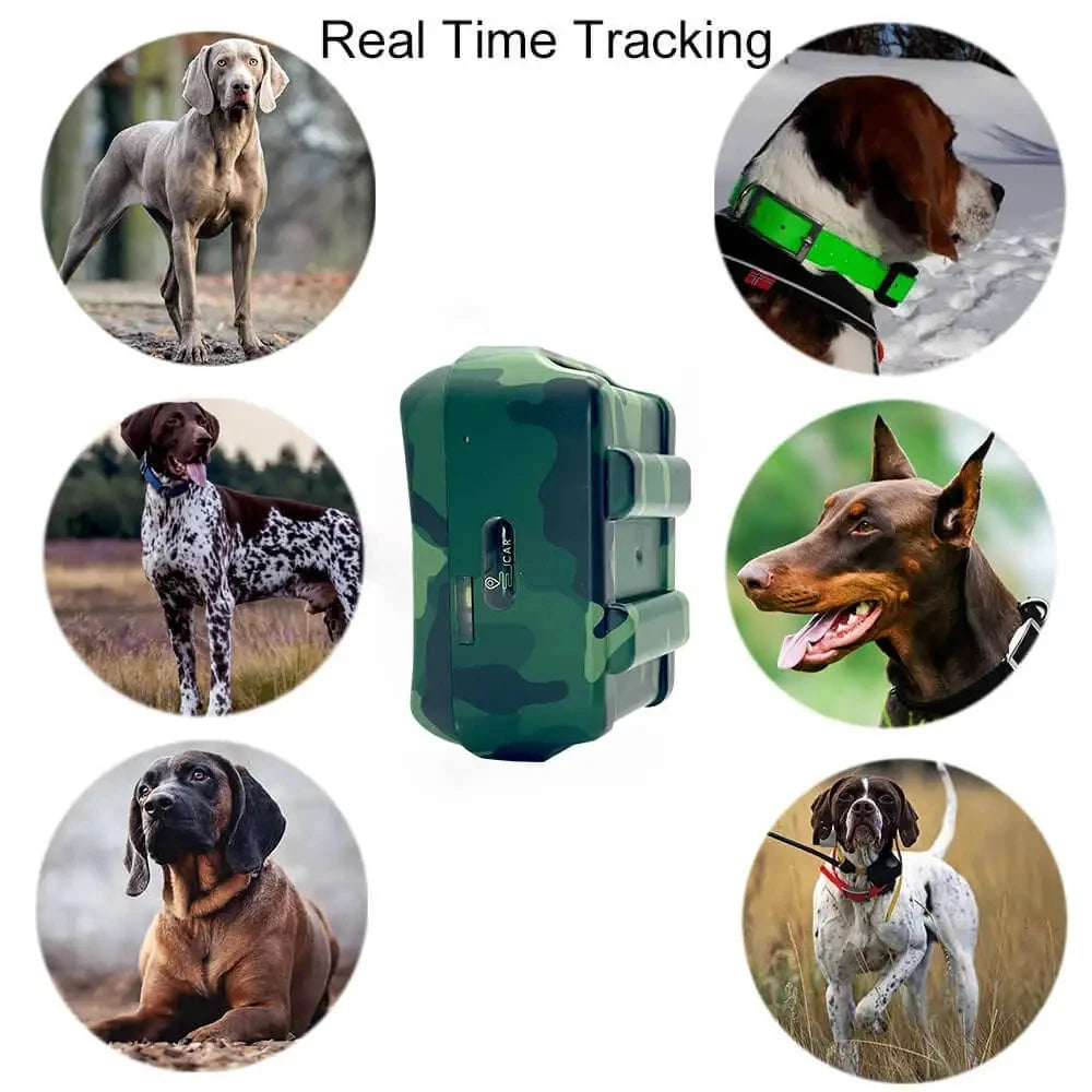 4G GPS Tracker Dog Collar for Hunting Dogs Cow Sheep 4000 mAh IP68 Waterproof Pet Tracker Large Animal Collar with Free App