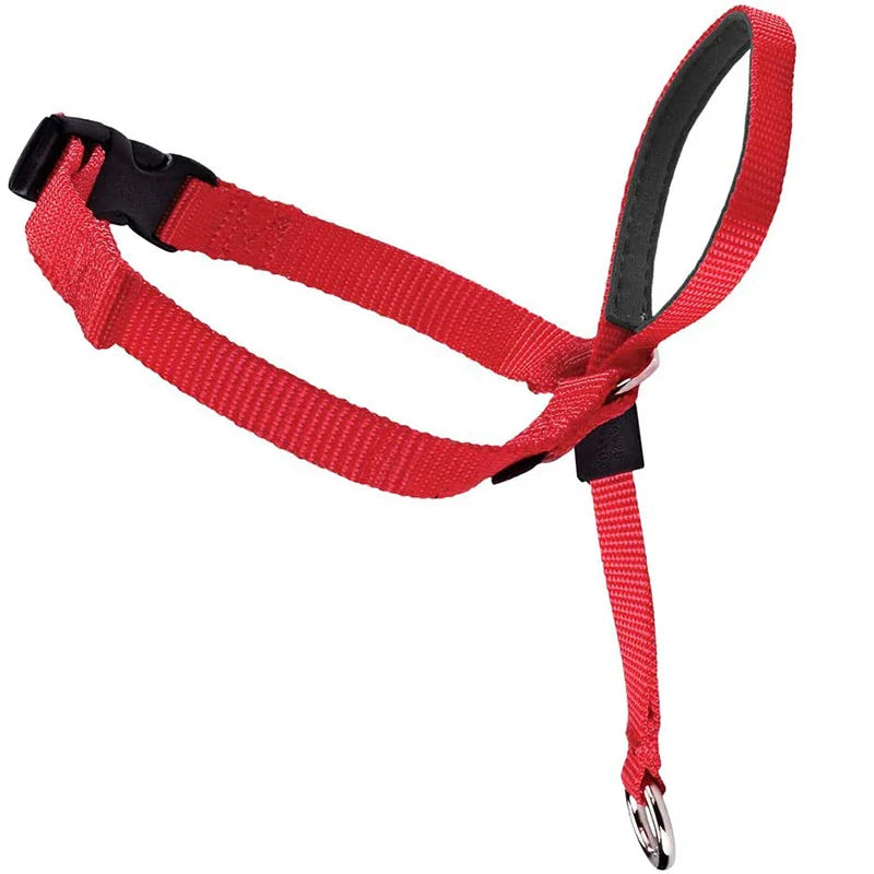 Adjustable Nylon Dog Pet Dog Padded Head Collar Gentle Halter Leash Leader Stop Pulling Training Muzzles Tools dog accessories