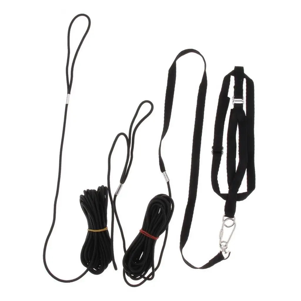 Parrot Leash Adjustable Bird Harness For Small to Large Parrots Macaws Black Bird Harness Leash for Parrot