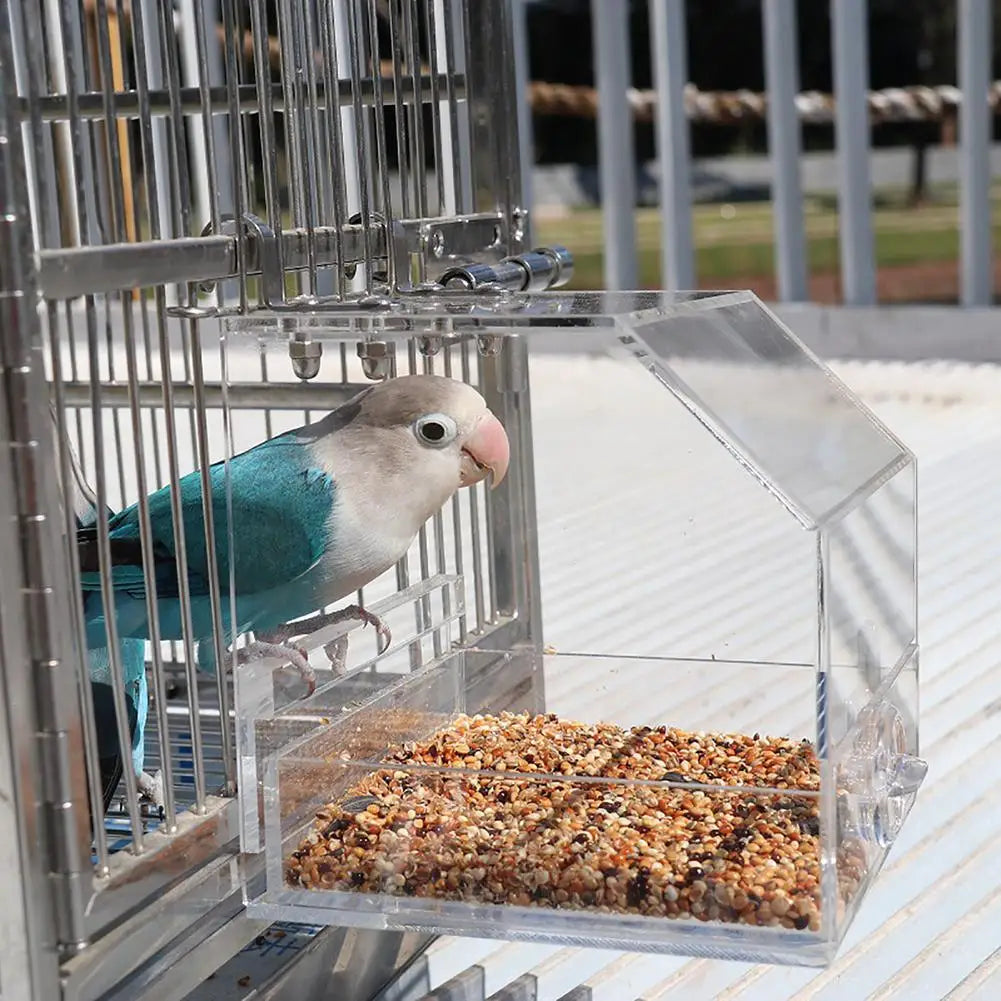 Automatic Parrot Bird Feeder No Mess Feeding Device Acrylic Transparent Birds Food Container For Small And Medium Sized Birds
