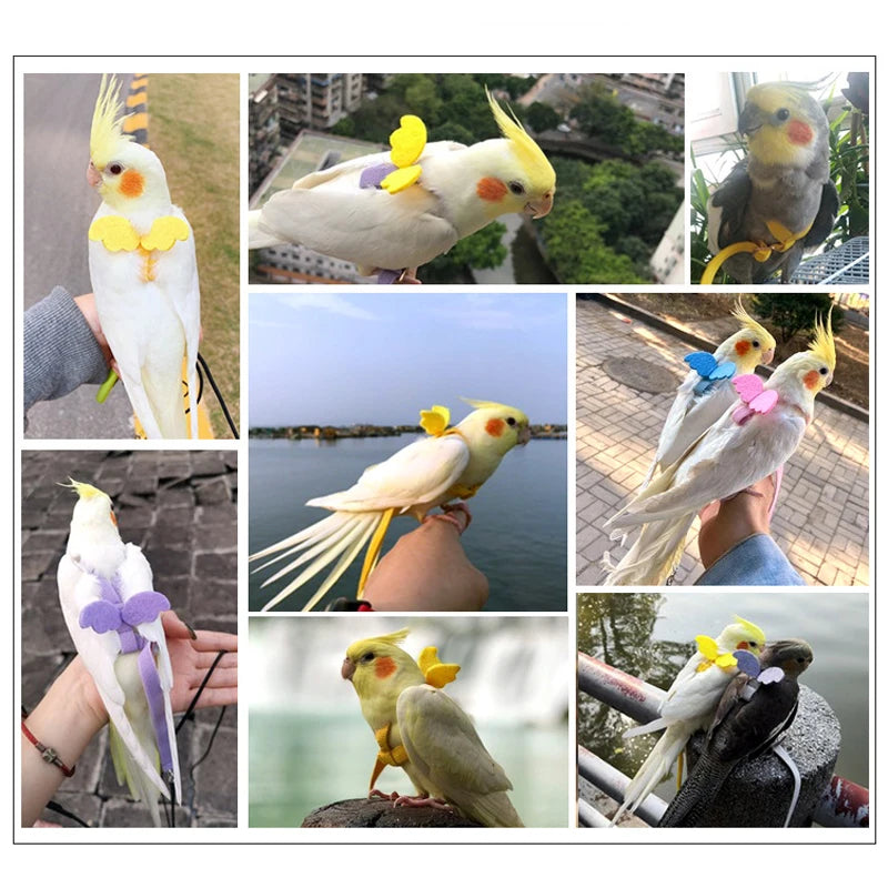 Adjustable Parrot Bird Harness Leash Set Anti-bite Training Harness For Parrots Outdoor Flying Rope For Cockatiel Small Birds
