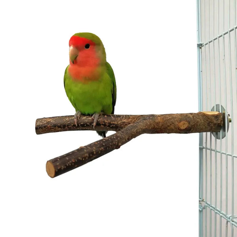 Natural Wood Pet Parrot Raw Wood Fork Tree Branch Stand Rack Squirrel Bird Hamster Branch Perches Chew Bite Toys Stick