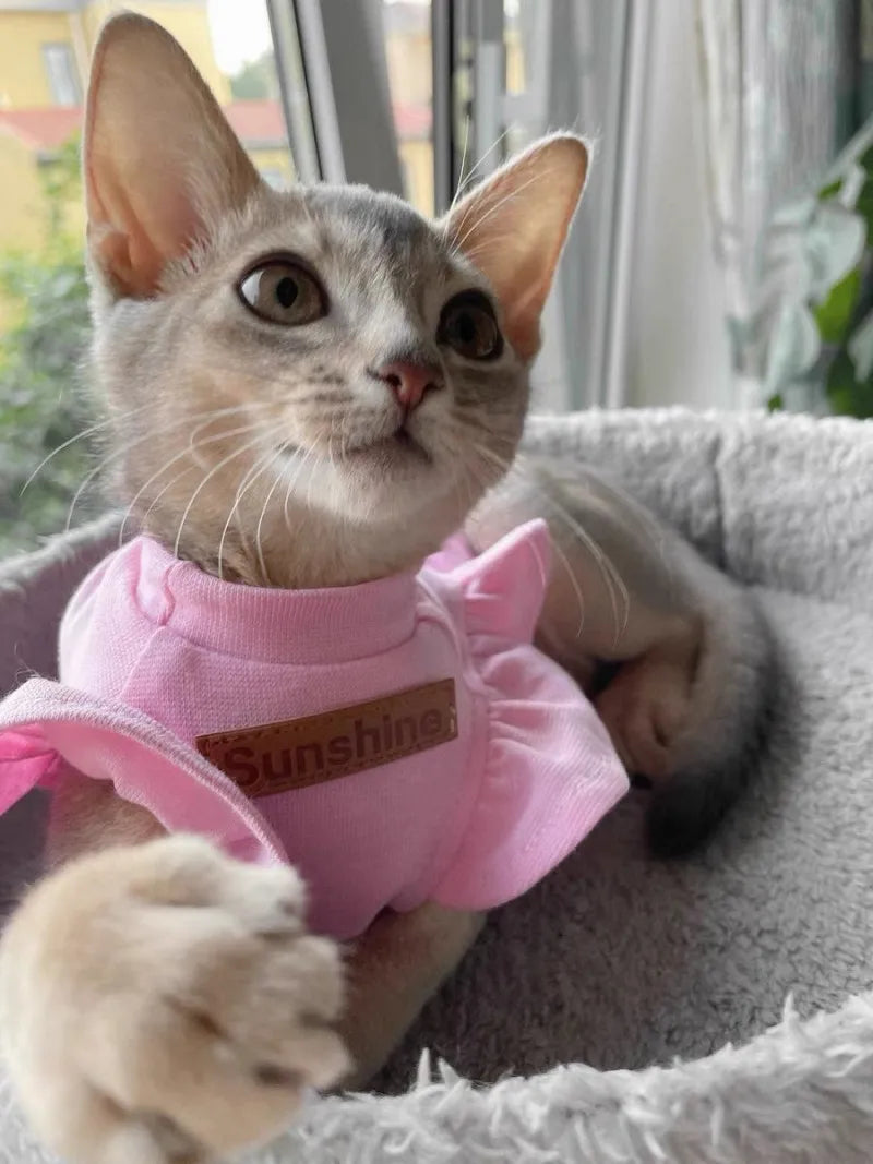 2021 Luxury Sphynx Cat Clothes Summer Dog Fancy Dress For Hairless Cats Clothing Small French Bulldog Puppy Costume Kittens Vest