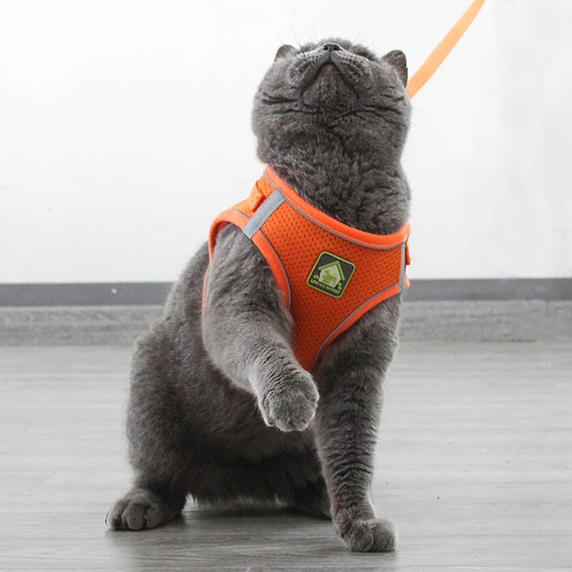 Reflective Puppy Cat Harness Vest With Walking Lead Leash Adjustable Kitten Collar Polyester Mesh Harness For Small Medium Dogs