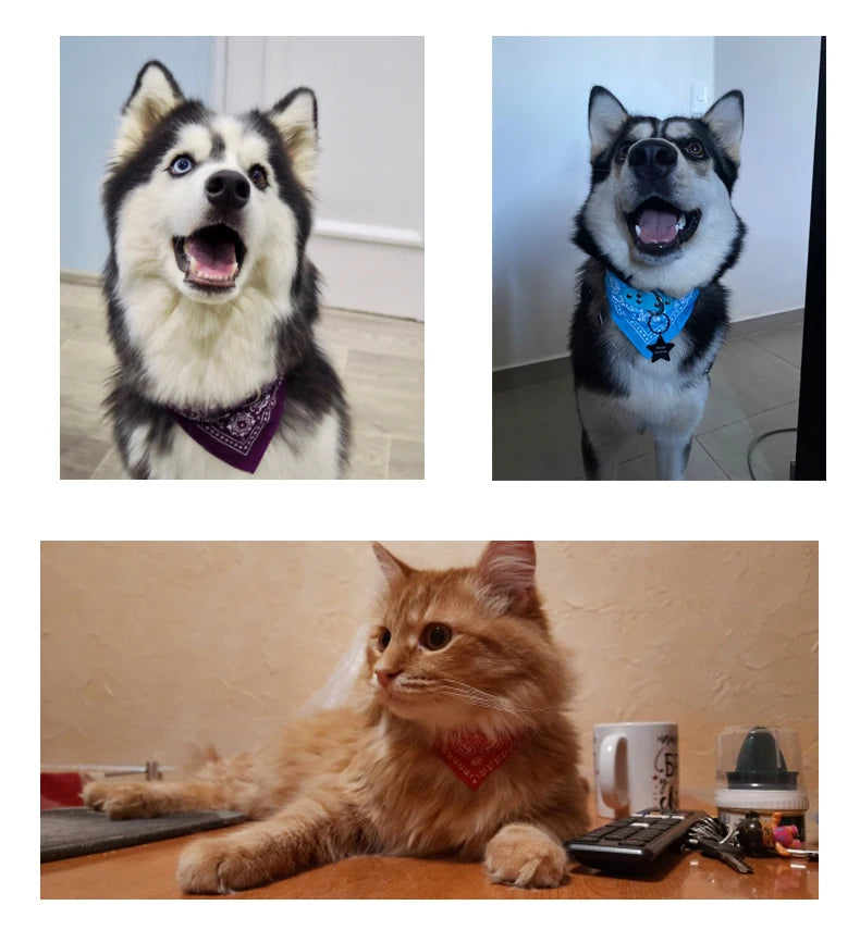 SUPREPET Cute Adjustable Small Dog Collars Puppy Pet Slobber Towel Outdoor Cat Collar Print Scarf  Design Dog Collar Neckerchief