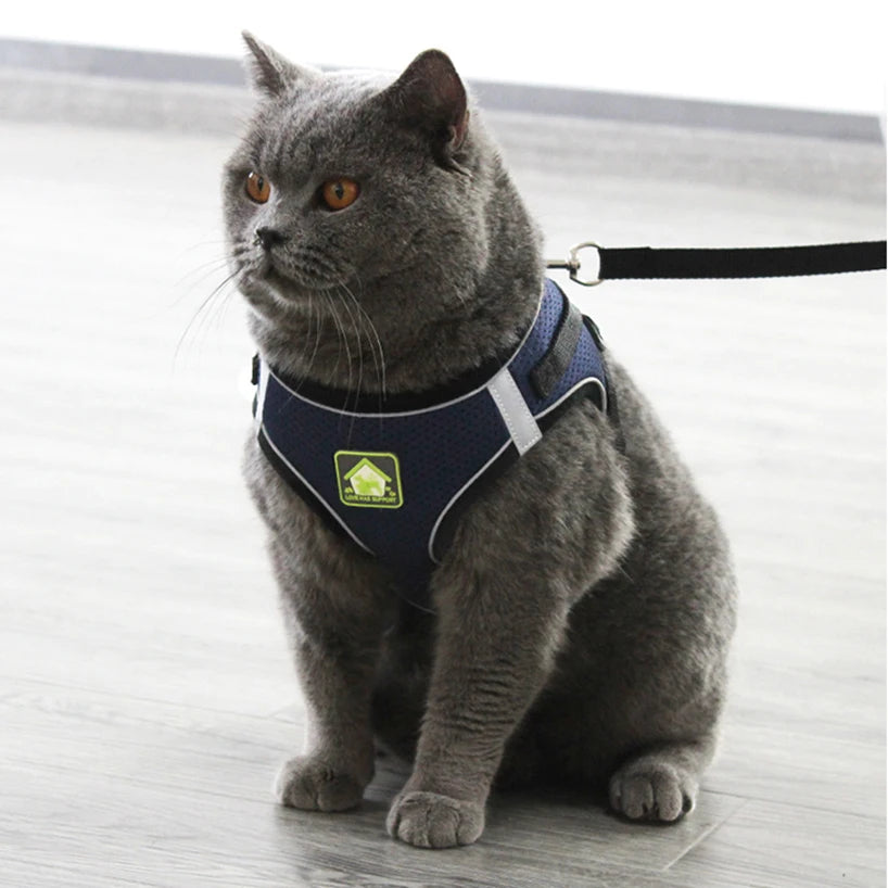Reflective Puppy Cat Harness Vest With Walking Lead Leash Adjustable Kitten Collar Polyester Mesh Harness For Small Medium Dogs