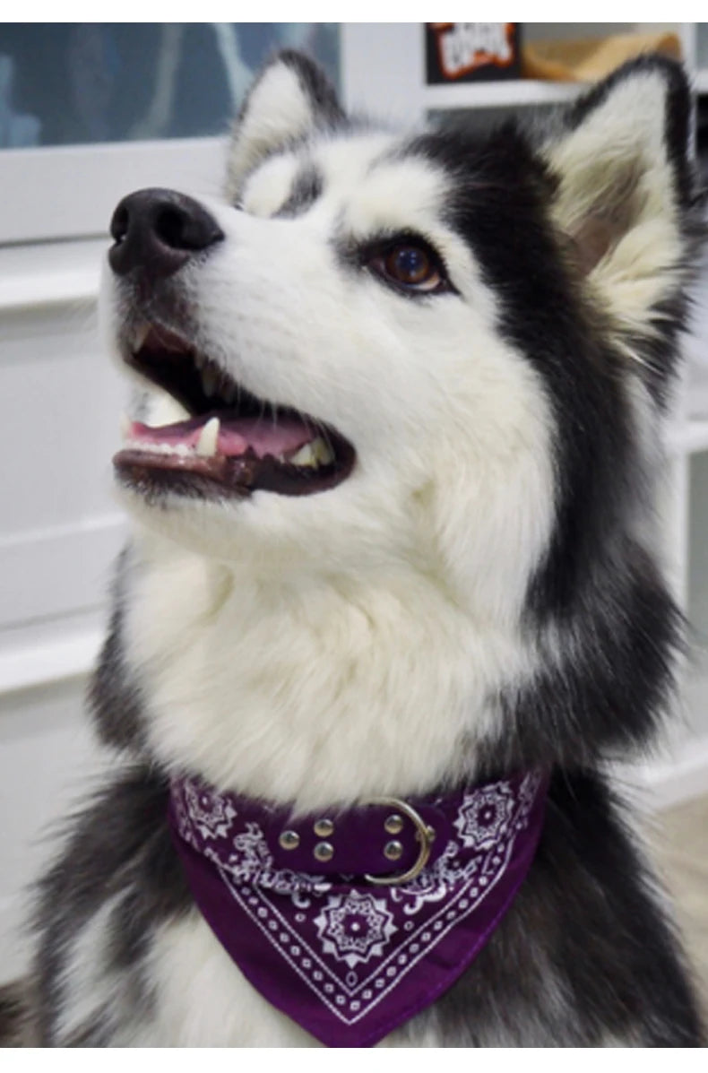 SUPREPET Cute Adjustable Small Dog Collars Puppy Pet Slobber Towel Outdoor Cat Collar Print Scarf  Design Dog Collar Neckerchief