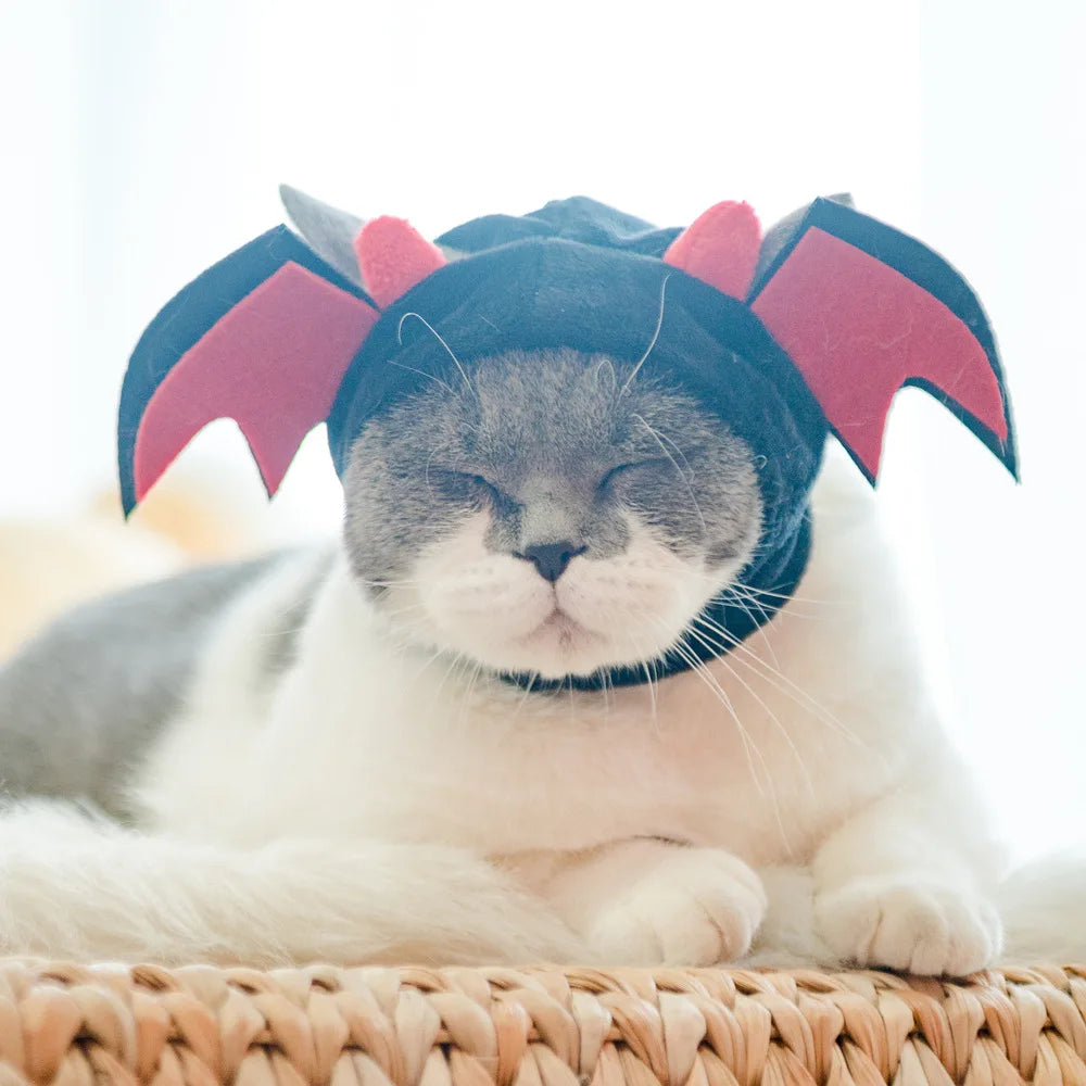 Animal Decorate Pet Cat Hat Multi Sizes Designer Soft Cotton Dogs Accessories Head Wear Adjustable Lovely Winter Kitten Caps