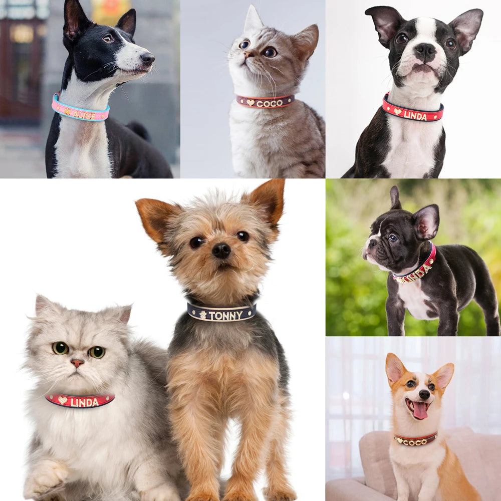 Bling Crystal Puppy Dog Collars Personalized Rhinestone Small Dog Collar Custom Chihuahua Necklace with Charms Pet Accessories