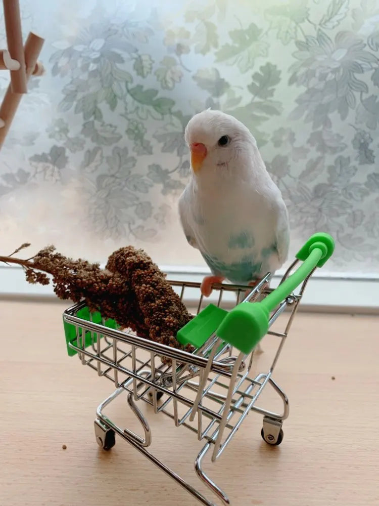 1pc 12*11.5*7.5cm Funny Mini Bird Parrot Mouse Cat Toy Supermarket Shopping Cart Intelligence Growth Parrot Toys