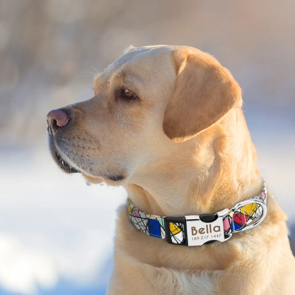 Personalized Nylon Dog Collar Customized Pet Collar Engraved ID Tag Nameplate Buckle for Small Medium Large Dogs Pitbull Pug