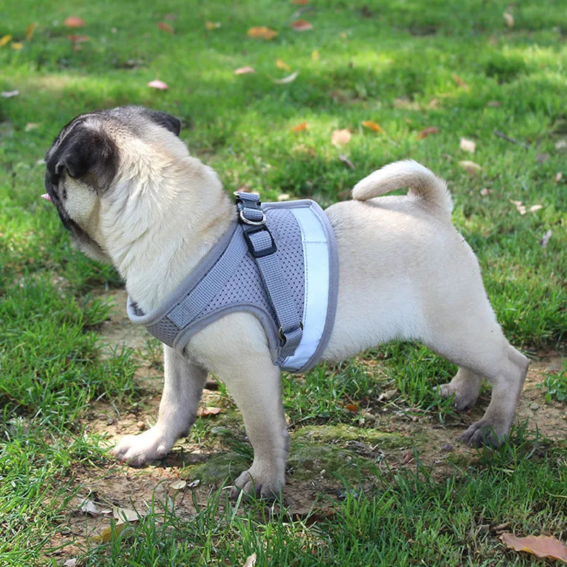 Pet Dog Harness and Leash Set Puppy Cat Chest Strap Reflective for Small Medium Dogs Cat Harnesses Vest Pug Chihuahua Bulldog