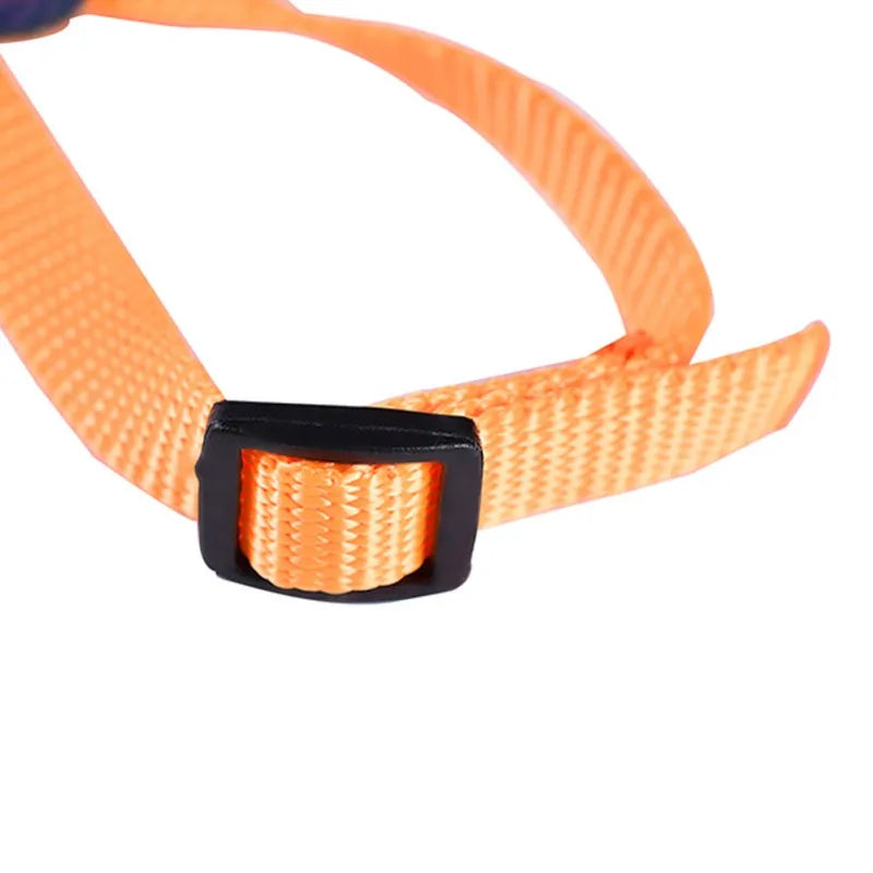 Colorful Parrot Bird Leash Outdoor Adjustable Harness Training Rope Flying Cross Band Anti Bite Bird Outdoor Starling Training