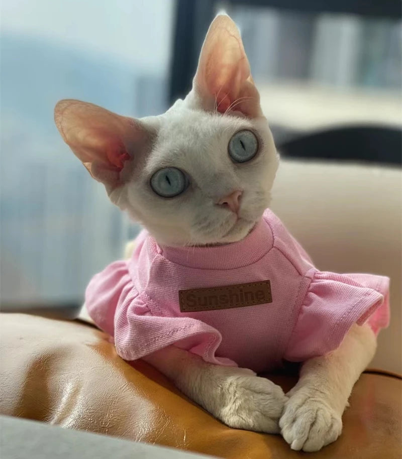2021 Luxury Sphynx Cat Clothes Summer Dog Fancy Dress For Hairless Cats Clothing Small French Bulldog Puppy Costume Kittens Vest