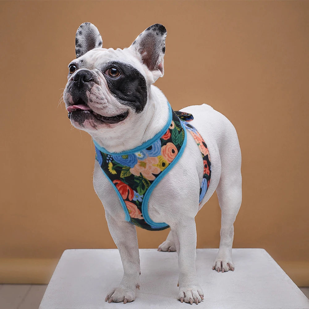 Nylon Girl Dog Harness Flower Printed Nylon Dogs Cat Harness Dogs Pet Harness Vest Adjustable for French Bulldog Chihuahua