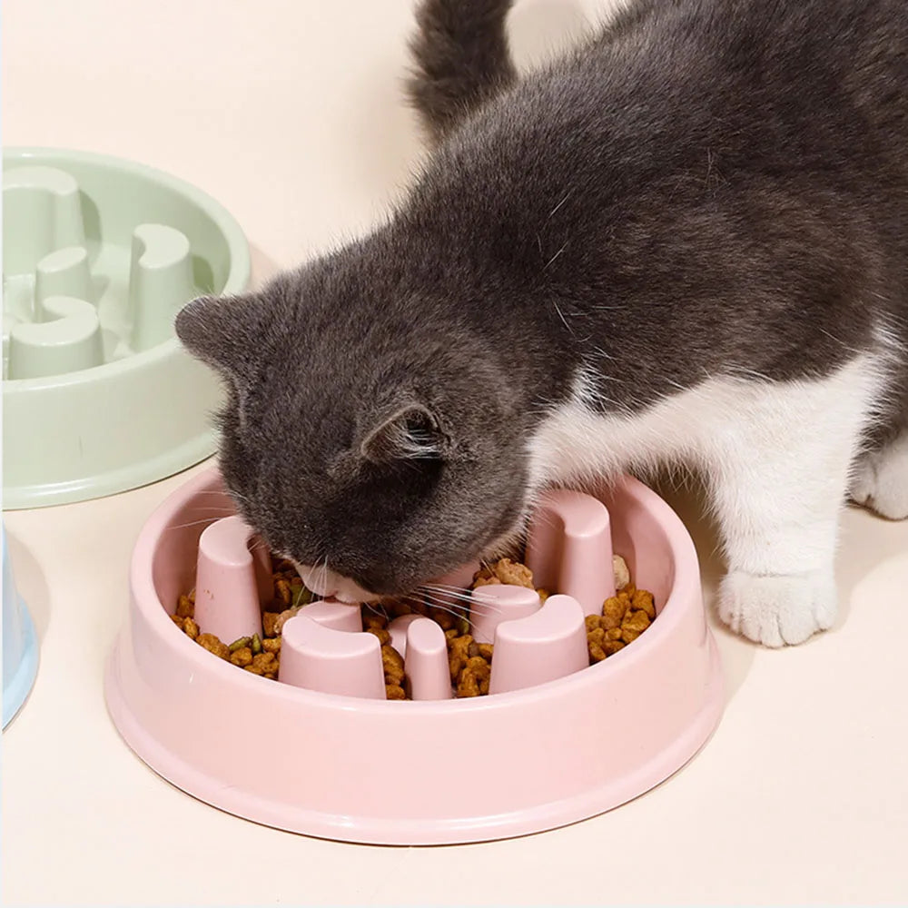 Slow Feeder Dog Bowls Dishes Bloat Stop Puppy Food Water Bowl for Dog Cat Non Slip Slow Eating Puzzle Maze Fun Pet Feeding Bowl