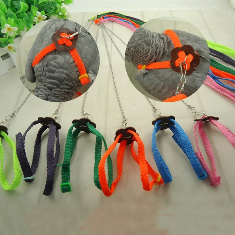 Colorful Parrot Bird Leash Outdoor Adjustable Harness Training Rope Flying Cross Band Anti Bite Bird Outdoor Starling Training