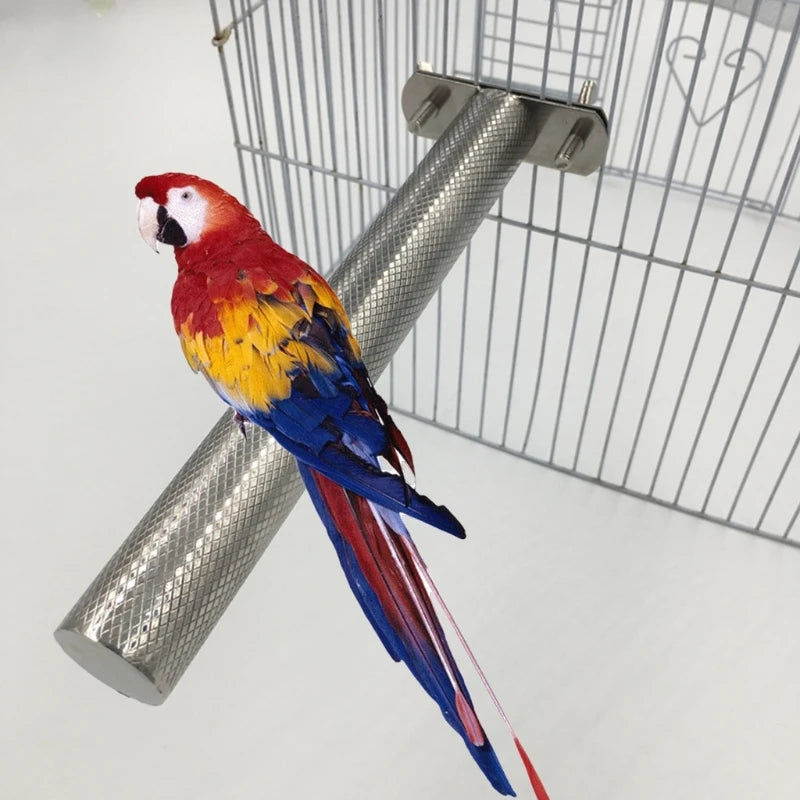 20/25/30CM Parrot Perches Bird Stainless Steel Stand Scratching Stick Climbing Paw Grinding Toys for Birds Cage Accessories
