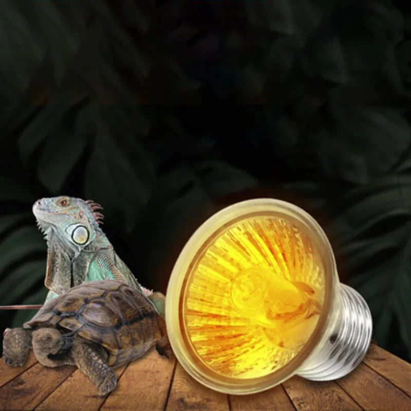 25W 50W 75W UVA Heat light bulb Pet Reptile Heating Lamp Turtle Lizard Heater Bulb Emitter for Pets Basking Bird Snake 110v 220V