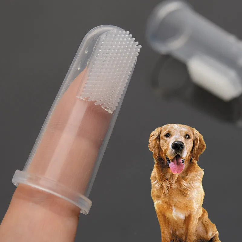 New Pet Toy Rubber Squeak Toys for Dog Chew Bone Slipper Squeaky Ball Dog Toys Tooth Grinding & Training supplies accessories