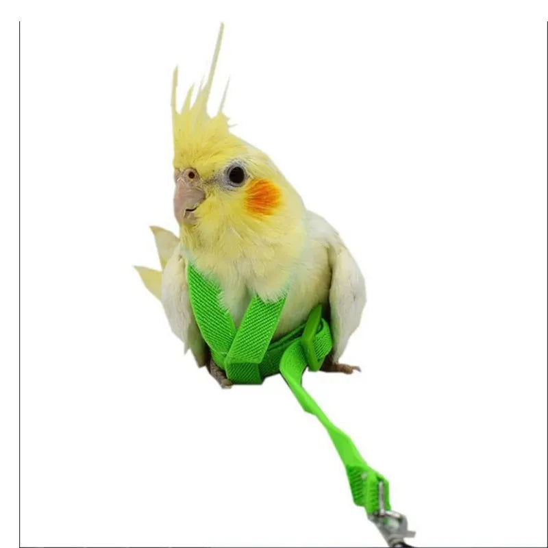 Colorful Parrot Bird Leash Outdoor Adjustable Harness Training Rope Flying Cross Band Anti Bite Bird Outdoor Starling Training