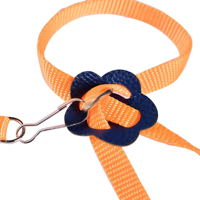 Colorful Parrot Bird Leash Outdoor Adjustable Harness Training Rope Flying Cross Band Anti Bite Bird Outdoor Starling Training