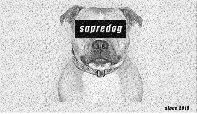 SUPREPET Cute Adjustable Small Dog Collars Puppy Pet Slobber Towel Outdoor Cat Collar Print Scarf  Design Dog Collar Neckerchief