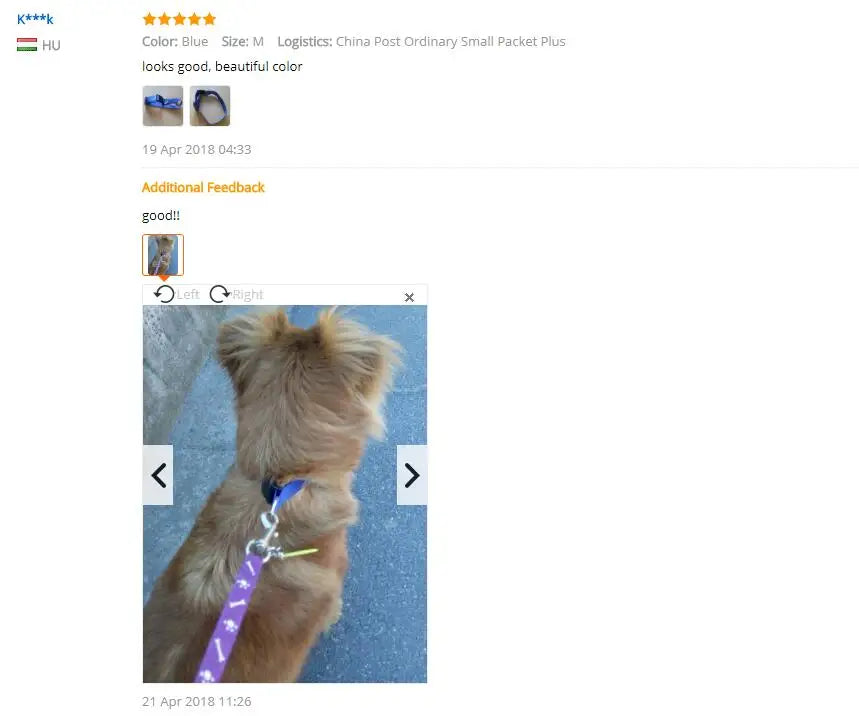 Nylon Webbing Dog Collar Heavy Duty Clip Buckle Pet Collar for Small Medium Dogs Chihuahua Dog Red Black Blue Purple 20