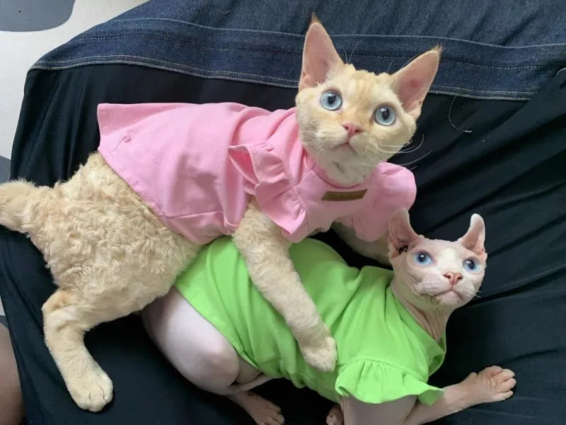 2021 Luxury Sphynx Cat Clothes Summer Dog Fancy Dress For Hairless Cats Clothing Small French Bulldog Puppy Costume Kittens Vest