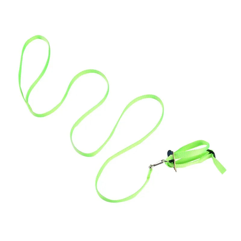 Colorful Parrot Bird Leash Outdoor Adjustable Harness Training Rope Flying Cross Band Anti Bite Bird Outdoor Starling Training