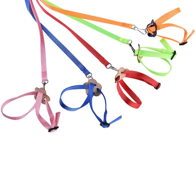 Colorful Parrot Bird Leash Outdoor Adjustable Harness Training Rope Flying Cross Band Anti Bite Bird Outdoor Starling Training