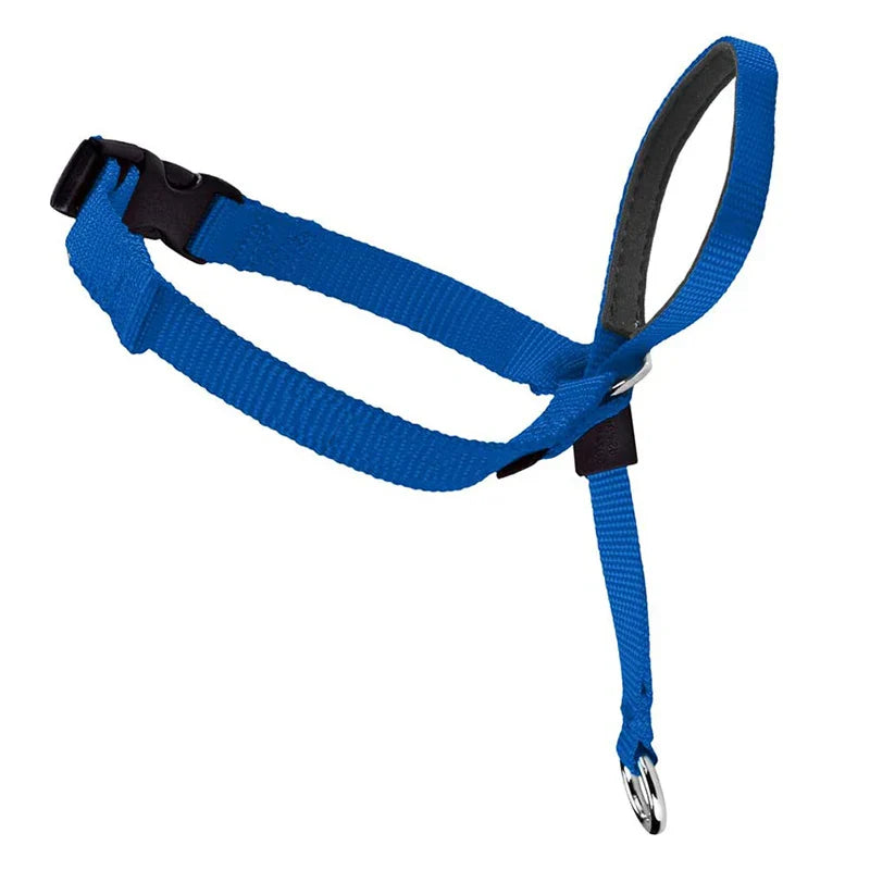 Adjustable Nylon Dog Pet Dog Padded Head Collar Gentle Halter Leash Leader Stop Pulling Training Muzzles Tools dog accessories