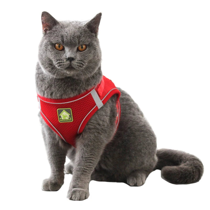Reflective Puppy Cat Harness Vest With Walking Lead Leash Adjustable Kitten Collar Polyester Mesh Harness For Small Medium Dogs