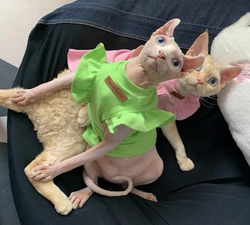 2021 Luxury Sphynx Cat Clothes Summer Dog Fancy Dress For Hairless Cats Clothing Small French Bulldog Puppy Costume Kittens Vest