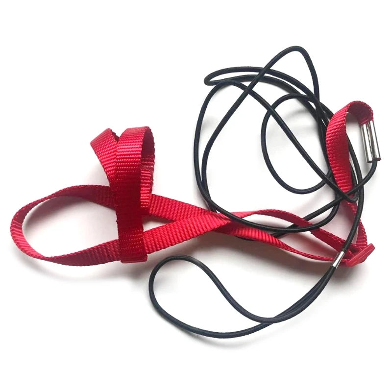 Parrot Bird Harness Leash Adjustable Anti-Bite Training Rope Outdoor Flying Traction Straps Band