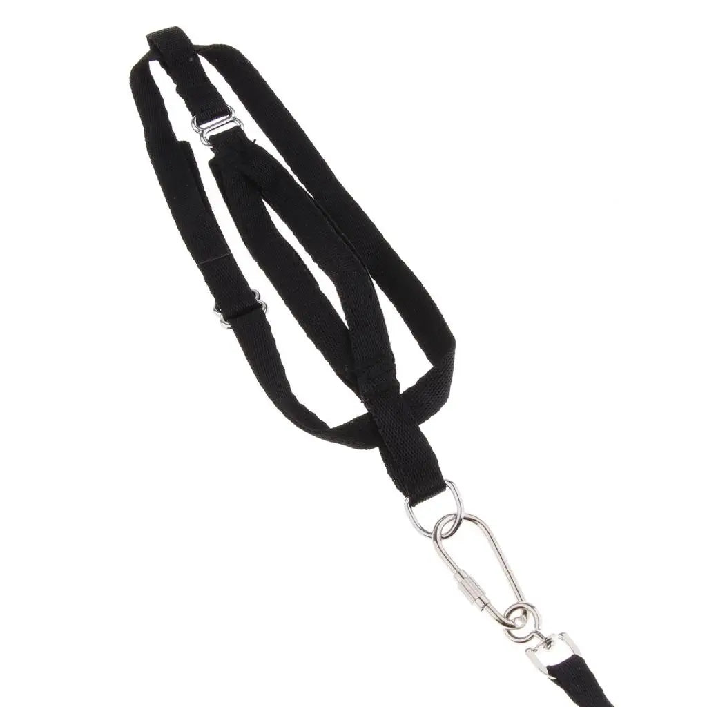 Parrot Leash Adjustable Bird Harness For Small to Large Parrots Macaws Black Bird Harness Leash for Parrot