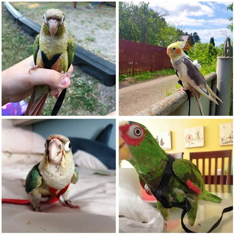 Parrot Bird Harness Leash Adjustable Anti-Bite Training Rope Outdoor Flying Traction Straps Band