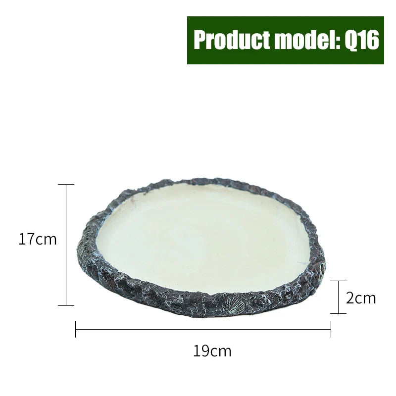 Crawler Pet Feeder Bowl Basin Resin Non-toxic Food Water Pot Reptile Turtle Scorpion Lizard Gecko Decor Pets Supply Accessories