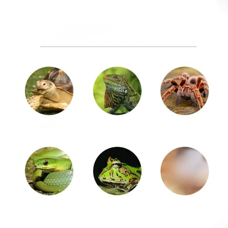 25W 50W 75W UVA Heat light bulb Pet Reptile Heating Lamp Turtle Lizard Heater Bulb Emitter for Pets Basking Bird Snake 110v 220V