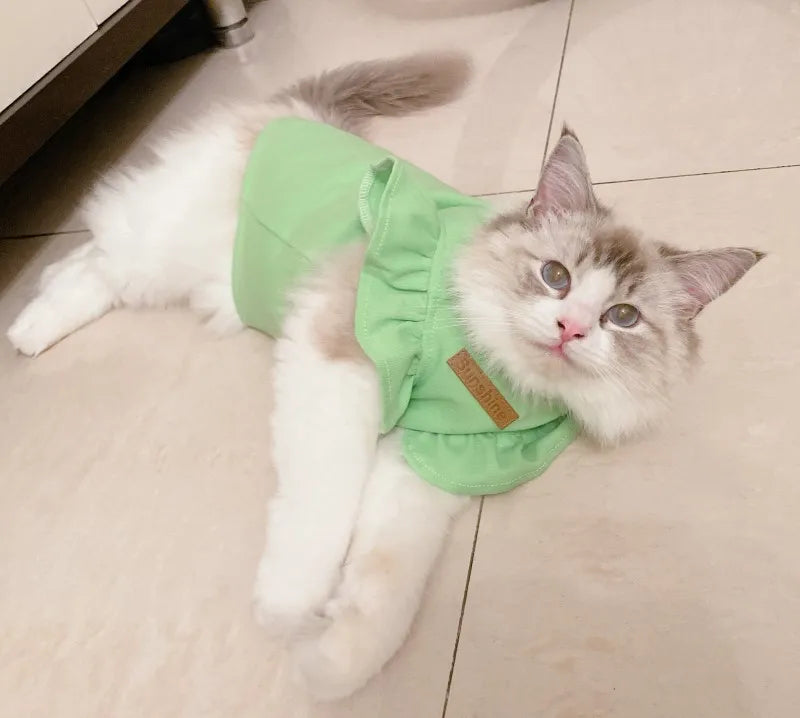 2021 Luxury Sphynx Cat Clothes Summer Dog Fancy Dress For Hairless Cats Clothing Small French Bulldog Puppy Costume Kittens Vest