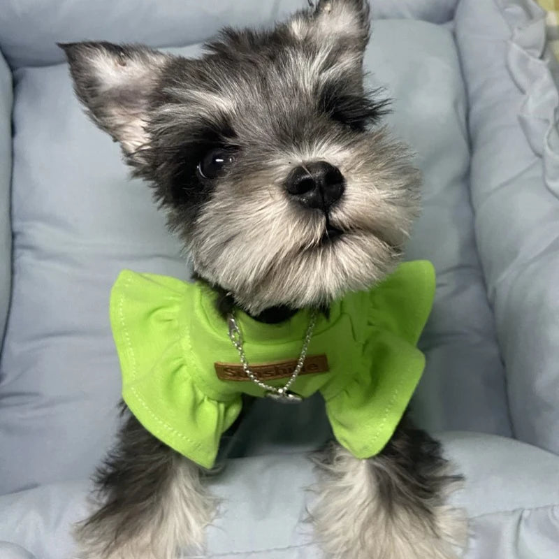 2021 Luxury Sphynx Cat Clothes Summer Dog Fancy Dress For Hairless Cats Clothing Small French Bulldog Puppy Costume Kittens Vest