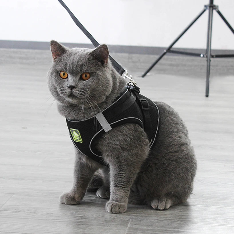 Reflective Puppy Cat Harness Vest With Walking Lead Leash Adjustable Kitten Collar Polyester Mesh Harness For Small Medium Dogs