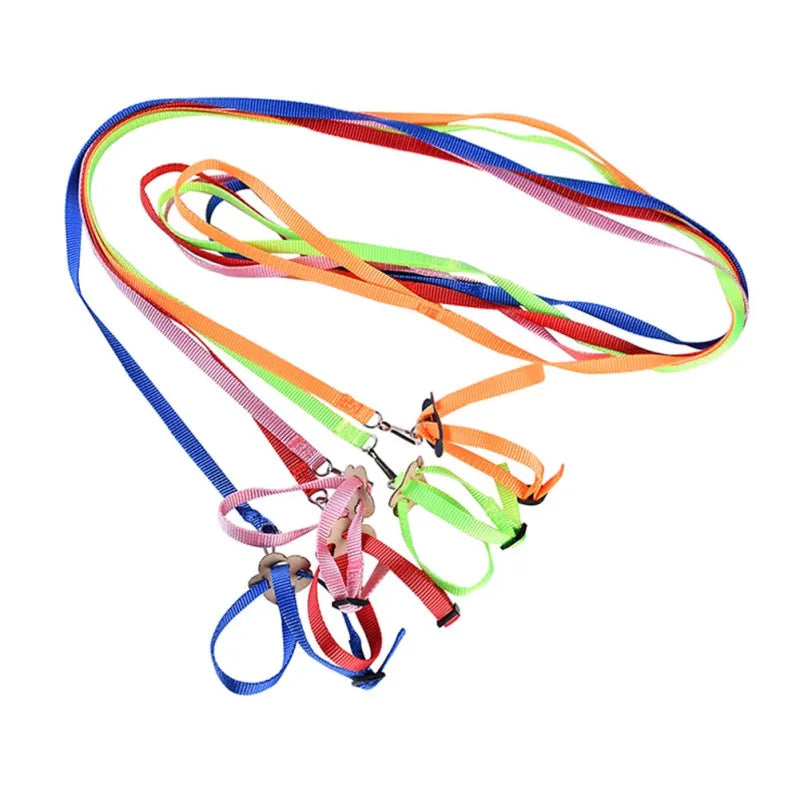 Colorful Parrot Bird Leash Outdoor Adjustable Harness Training Rope Flying Cross Band Anti Bite Bird Outdoor Starling Training