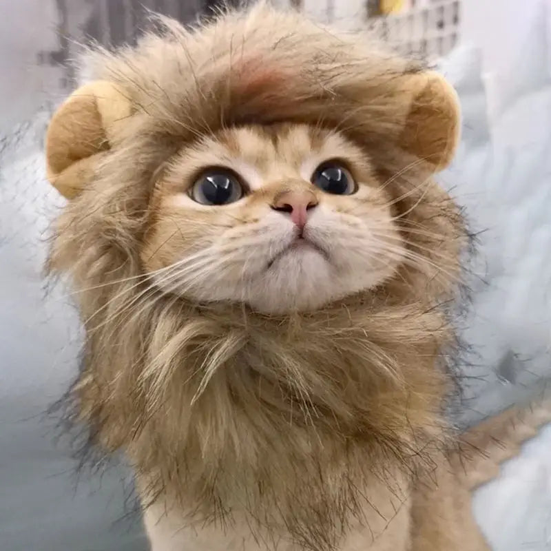 Lion Mane Cat New Cute Wig Hat for Dogs and Cats Small Dog Pet Cat Decoration Accessories Lion Wig Fancy Hair Cap Pet Supplies