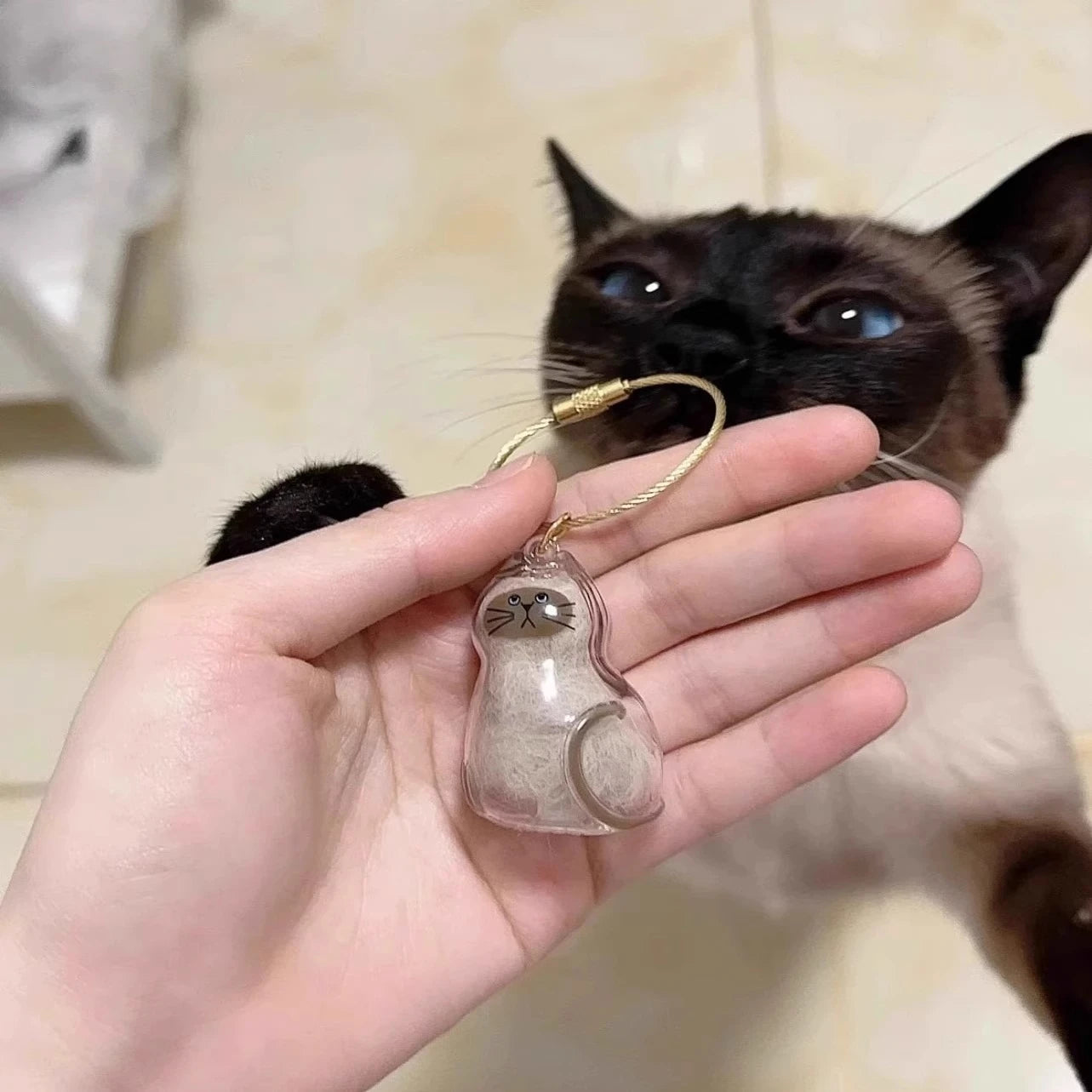 Stylish Cat Key Holder Fluffy Ball Hair Collector Transparent Case Fashionable Pet Accessories for Kitty Owners